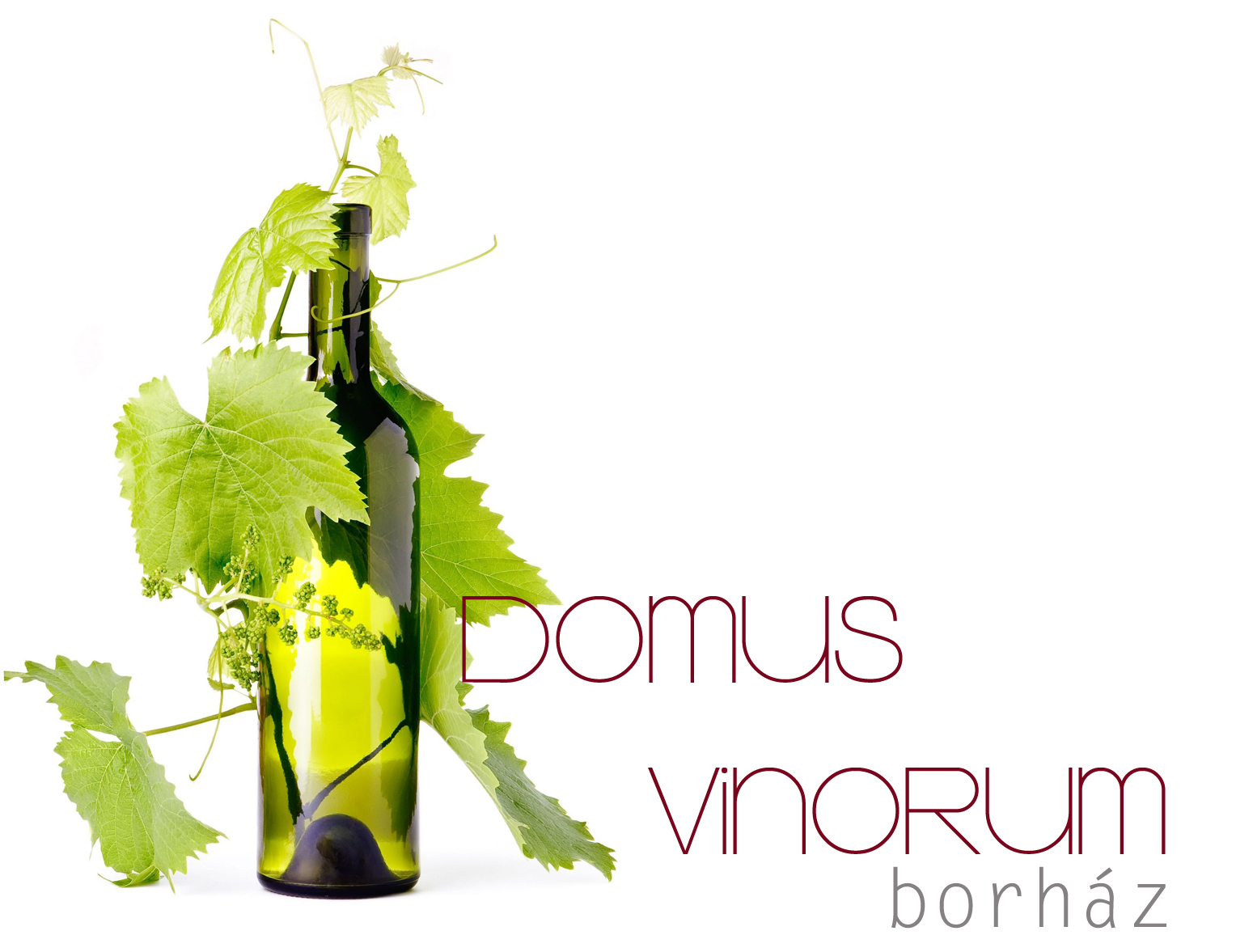 domus vinorum