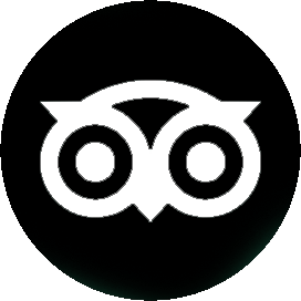 tripadvisor logo